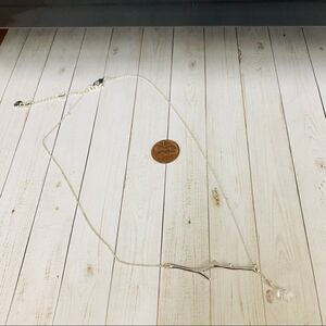 Chloe + Isabel Silver Branch Crystal Necklace‎